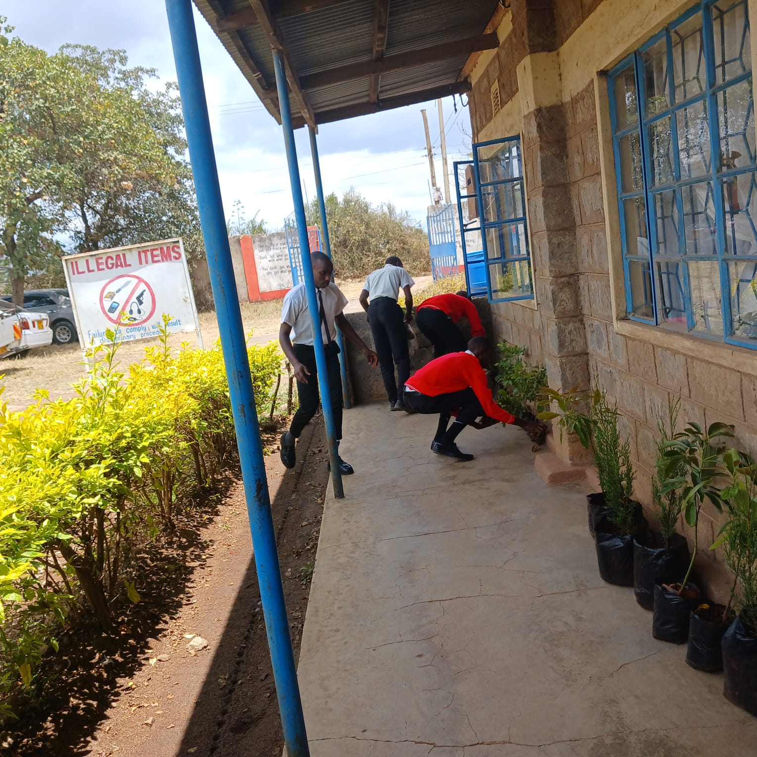 Komo Secondary Partnership Launch - Tree planting in progress